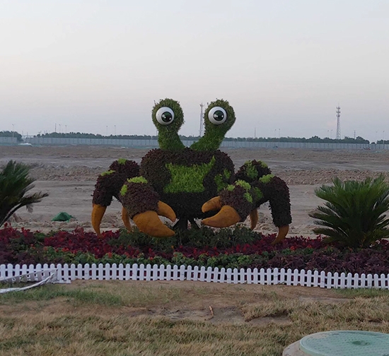 邵陽五色草動物造型